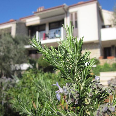 Apartments Palma & Pino Cres Eksteriør bilde