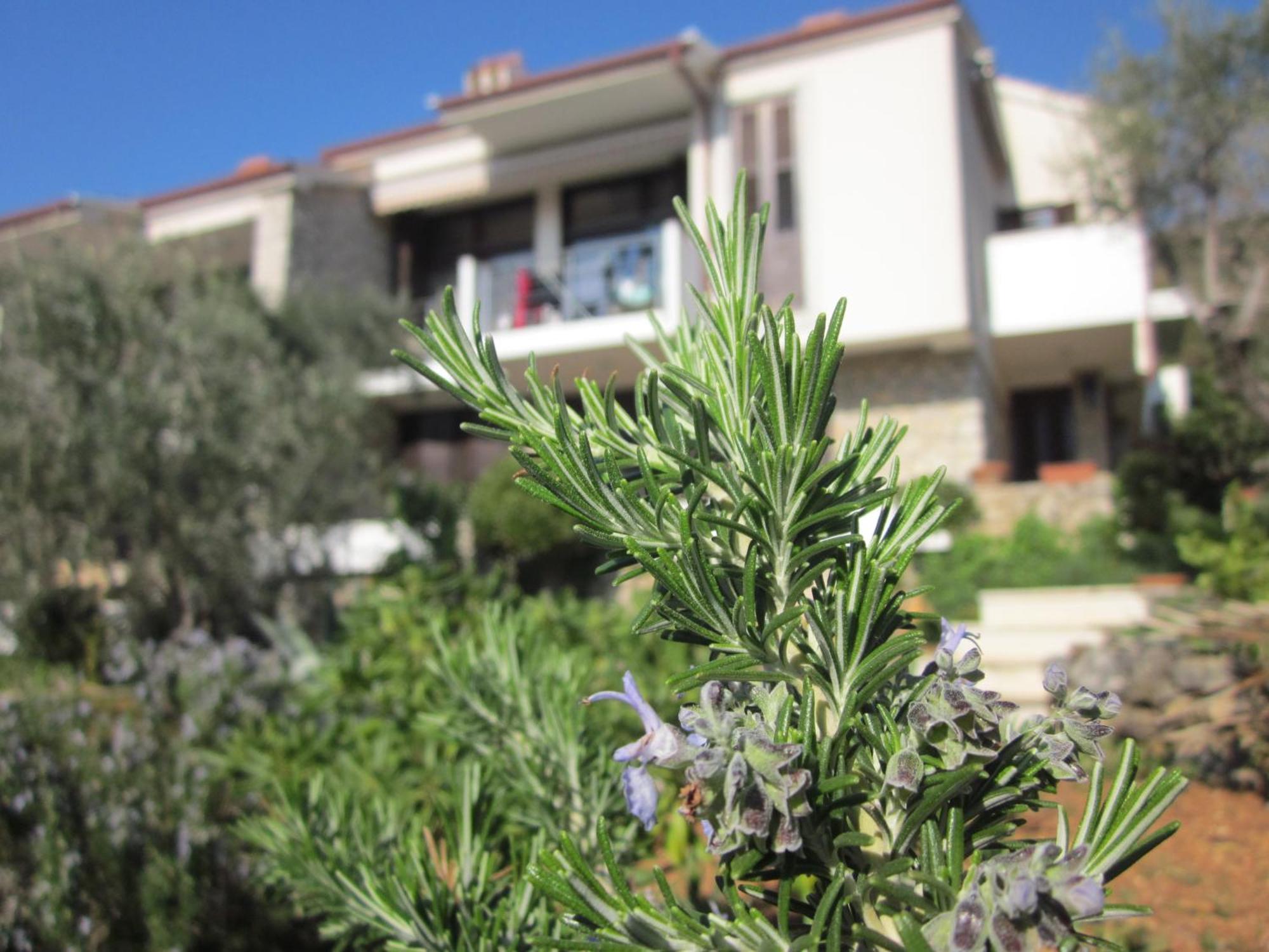 Apartments Palma & Pino Cres Eksteriør bilde